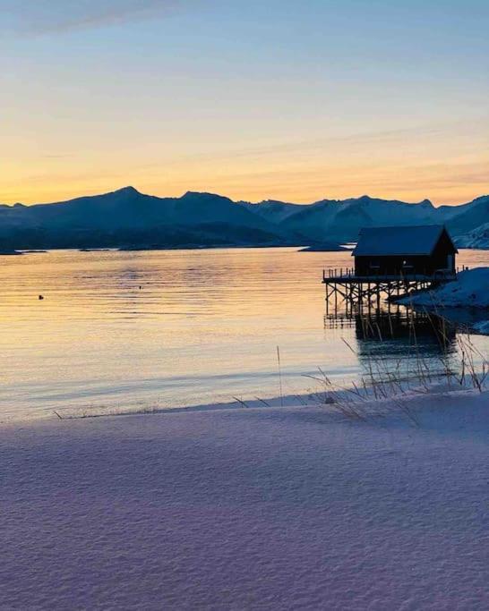 Holiday Home With Sauna In The Arctic Caribbean, Tromso Tromsø Exterior foto